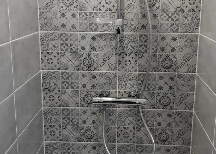 Near Train Station, Center * Laval (Mayenne)